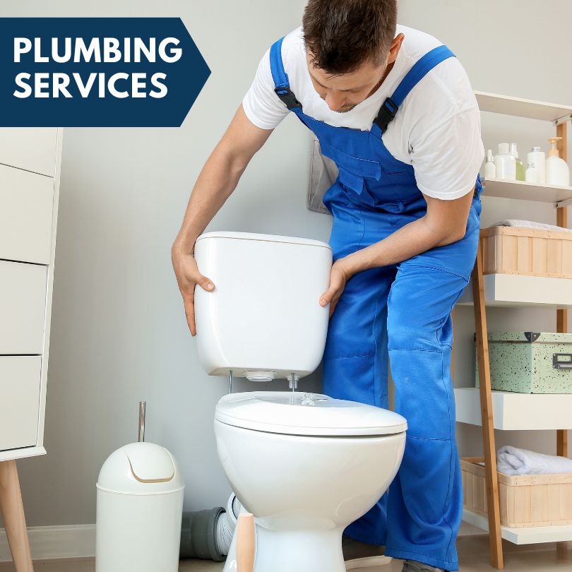 Plumbing Company in Pavo, GA