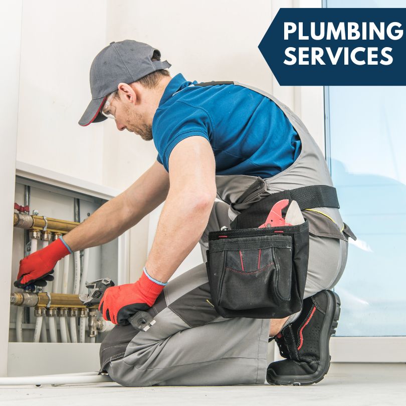 Pavo Plumbing Company